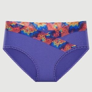Splendies Prism Lace Bikini Panties Size 4x Purple Rainbow Lingerie Underwear
